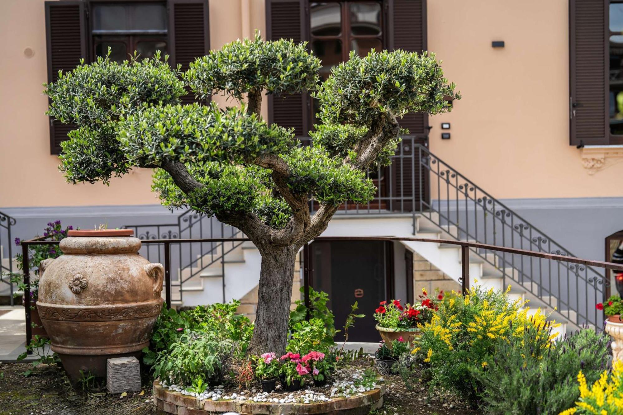 Villa Agostino Luxury B&B Вико-Экуенсе Экстерьер фото